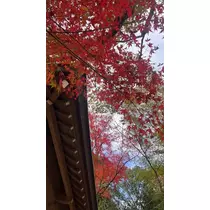 岩影 えいみ
