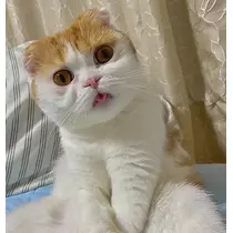 るな