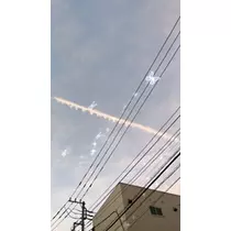みれい