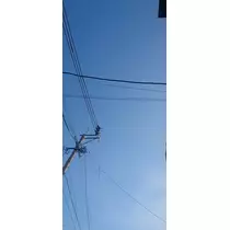 千兎 ちひろ