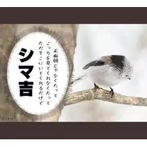 ひな