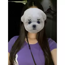 ふう