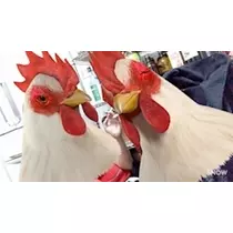 美波 なつ