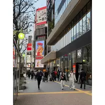 夏目 かんな