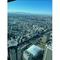 宝條 夏恋