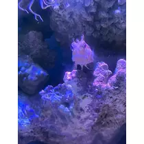 ナミ
