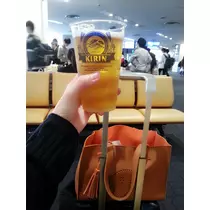 本城 椿