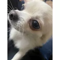 ねお