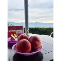 みさ