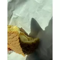 夏目 かんな
