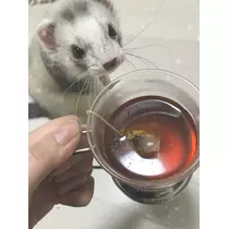 ちなつ