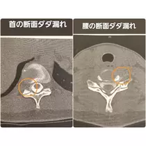 紫音