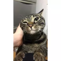 みな