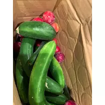友美 ママ