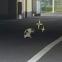 ふう