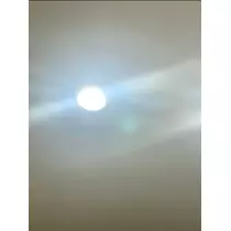 空条 しいな