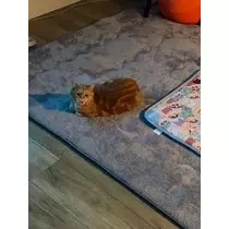 桐島 りゅう