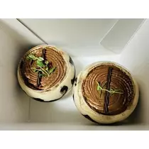 白石 愛莉