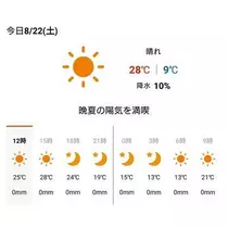 ひな