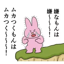 司