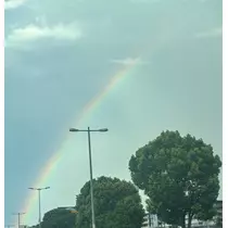 にゃる