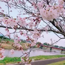 あい