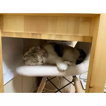 みつき