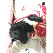 りえ