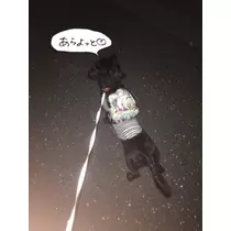 りえ