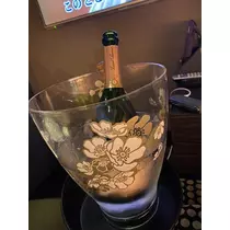 白石 愛莉