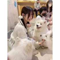ゆき
