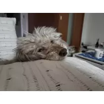 荒木 ナツミ
