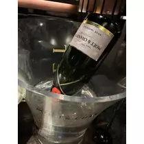 白石 愛莉