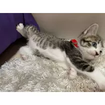 みお
