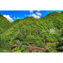 神崎　唯