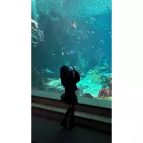 きら