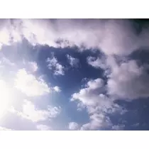 成海 まお