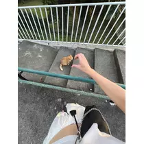 芹沢 莉瀬