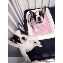 妃 えりか