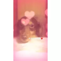 美月