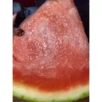 るな