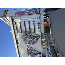 せりな