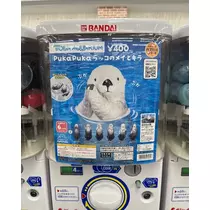 緑 四葉