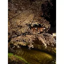 のはら かすみ