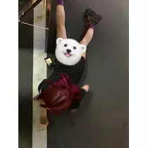 あこ