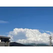 なな