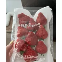 緑 四葉