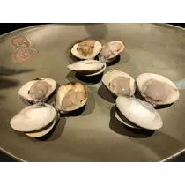 長瀬 純恋