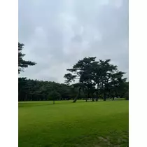 きこ