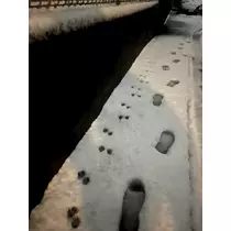 あや